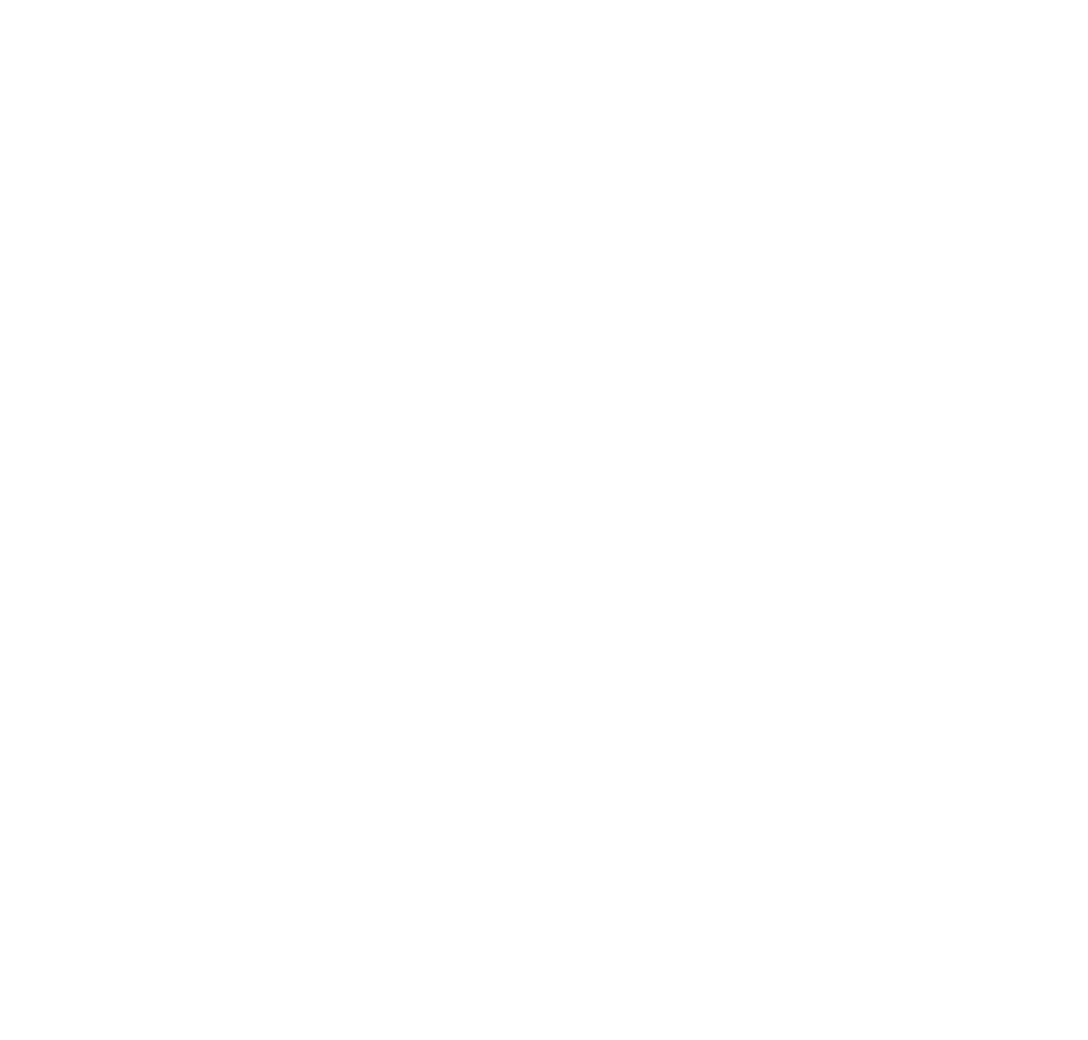 The Brain Fog Free Shipping